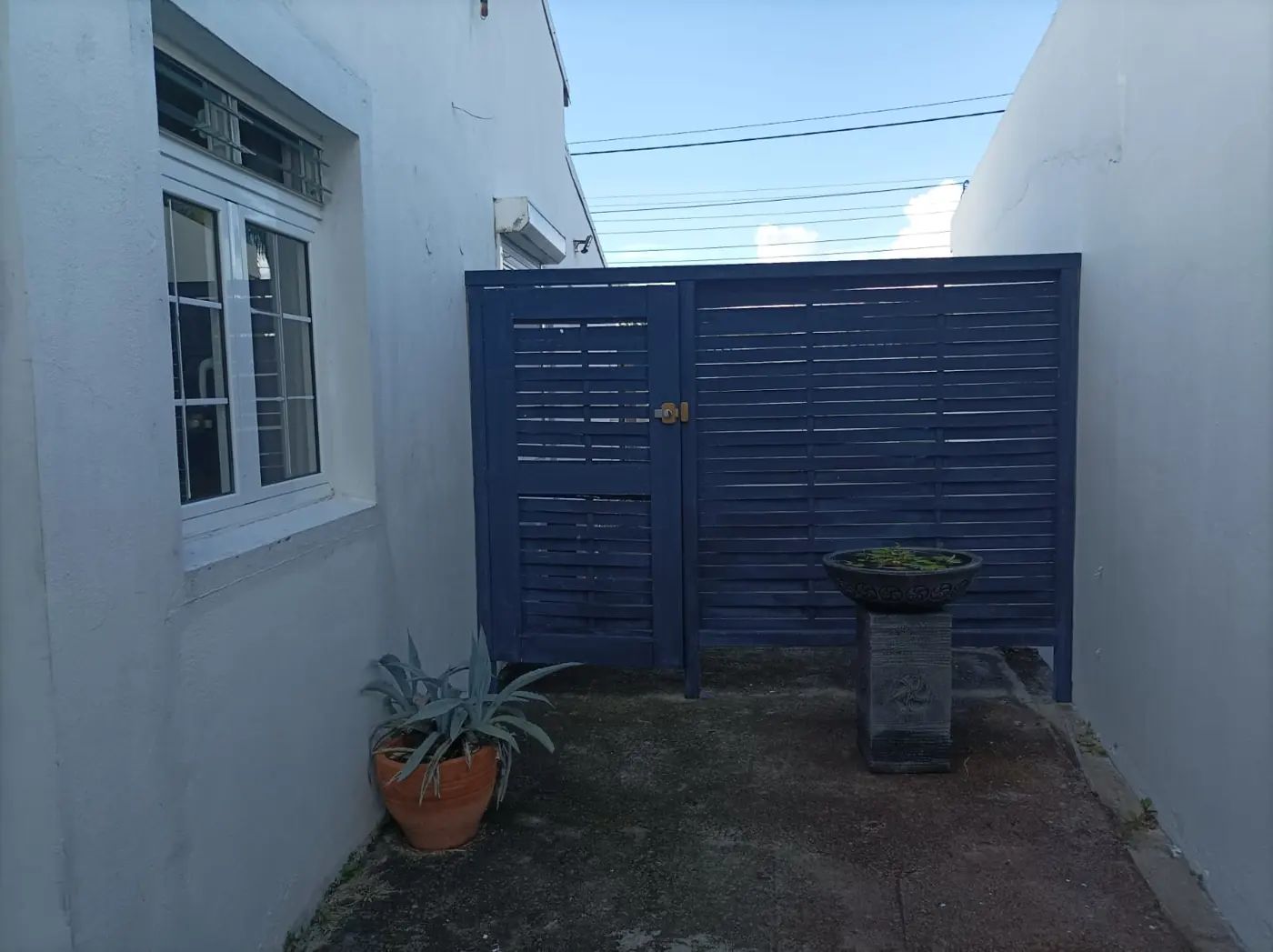 Cour d'entrée avec portail bleu en bois et pot de plantes