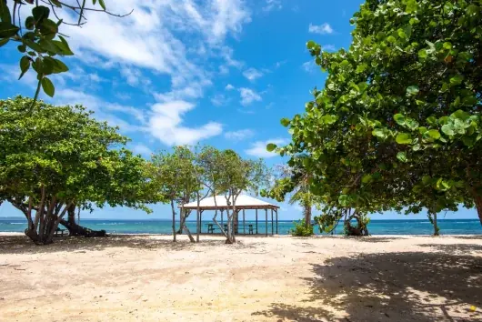 Carbet sur la plage, à l'ombre des arbres, face à la mer